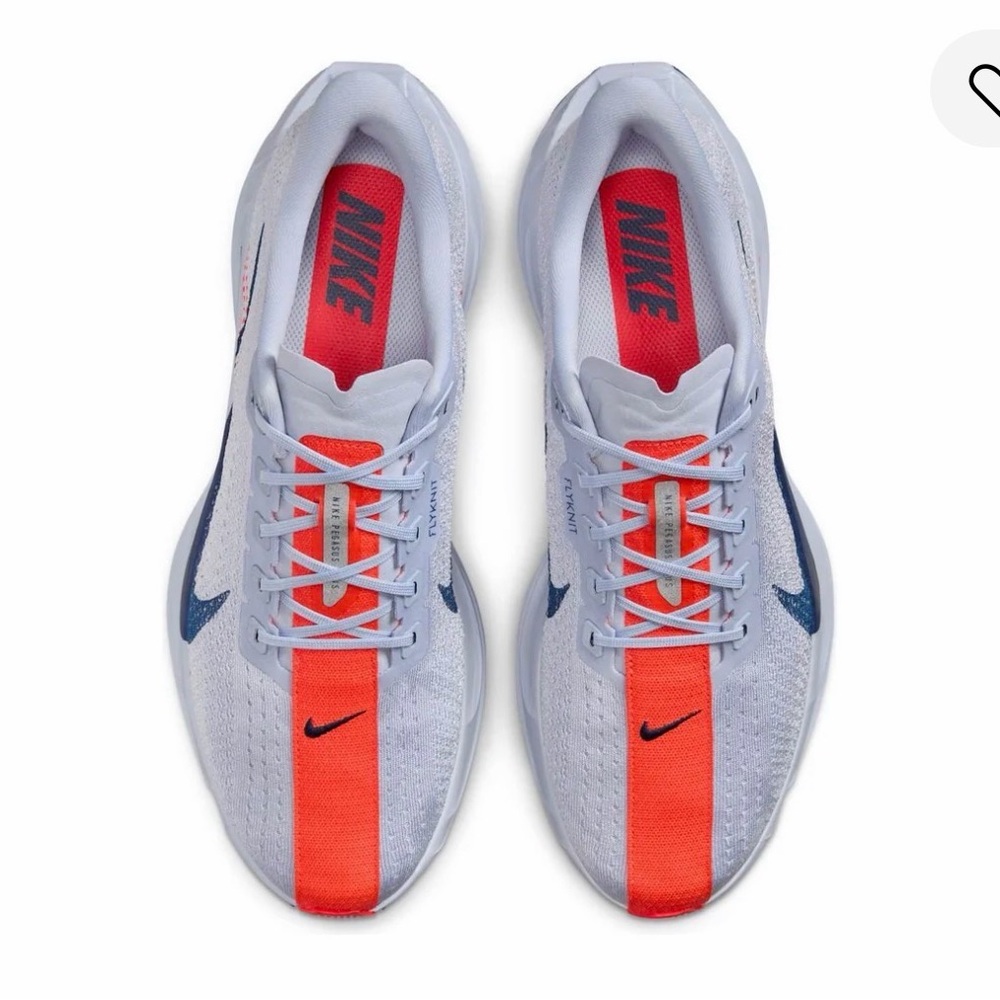 Nike Pegasus plus